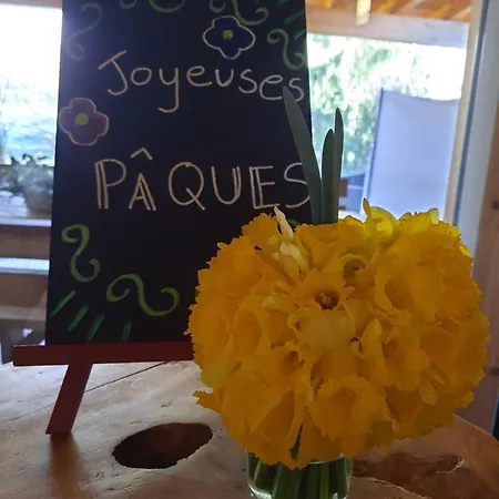 Au Cœur des Lacs - Chambres d'hôtes&Spa-3